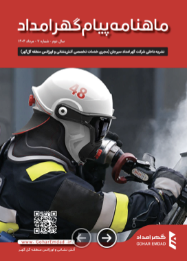 firdip image